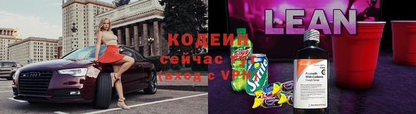 apvp Вяземский