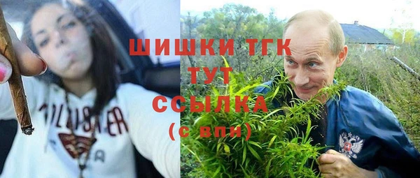 apvp Вяземский