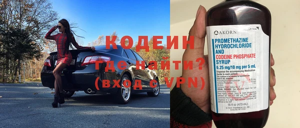apvp Вяземский